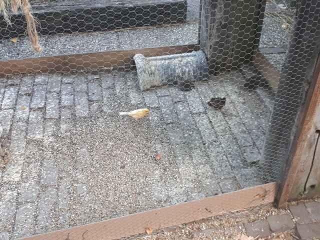 ../fotos/het_verlaat_2018/2018-07-31 19.59.11.jpg